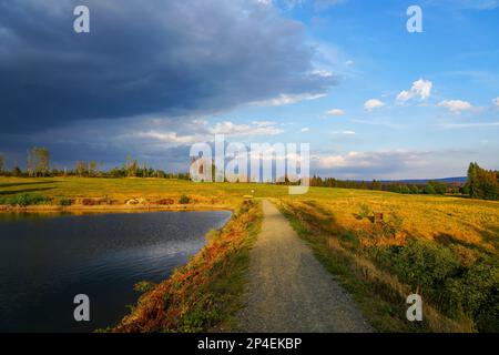 Paysage à l'Hasenbacher Teich. Nature dans le Harz près de Clausthal-Zellerfeld. Paysage idyllique au bord du lac en automne. Banque D'Images