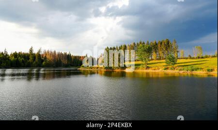 Paysage à l'Hasenbacher Teich. Nature dans le Harz près de Clausthal-Zellerfeld. Paysage idyllique au bord du lac en automne. Banque D'Images