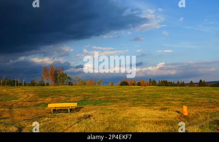 Paysage à l'Hasenbacher Teich. Nature dans le Harz près de Clausthal-Zellerfeld. Banque D'Images