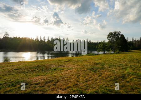 Paysage à l'Hasenbacher Teich. Nature dans le Harz près de Clausthal-Zellerfeld. Paysage idyllique au bord du lac en automne. Banque D'Images