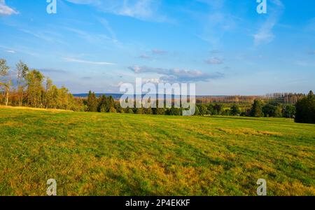 Paysage à l'Hasenbacher Teich. Nature dans le Harz près de Clausthal-Zellerfeld. Banque D'Images