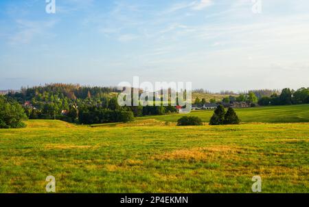 Paysage à l'Hasenbacher Teich. Nature dans le Harz près de Clausthal-Zellerfeld. Banque D'Images