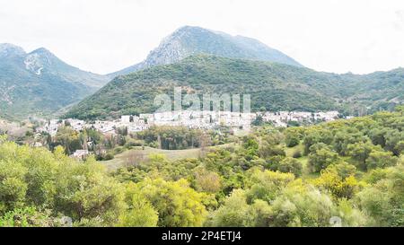 Vue panoramique sur le village blanc de Benamahoma dans la Sierra de Grazalema (Cadix, Andalousie, Espagne). Banque D'Images