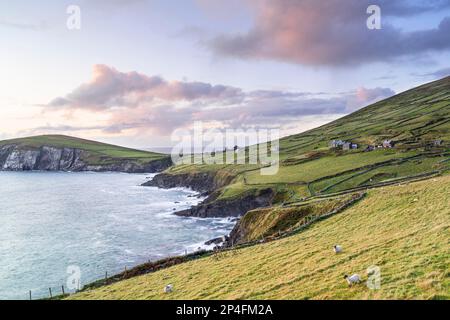 Coumeenoole Beach au coucher du soleil, Dunmore Head, Dingle, Kerry, Irlande Banque D'Images