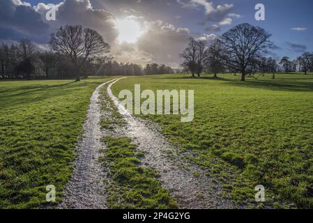 Piste de boue dans le parc, Leagram, Chipping, Lancashire, Angleterre, Royaume-Uni Banque D'Images