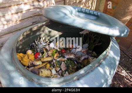 Bac à compost de jardin en plastique avec restes de fruits et légumes pourris, Angleterre, Royaume-Uni Banque D'Images