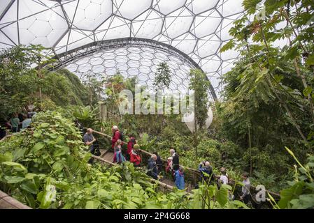 Touristes à l'intérieur du biome de la forêt humide, Biome de la forêt tropicale, Eden Project, Cornwall, Angleterre, Royaume-Uni Banque D'Images