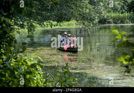 Canoéistes pagayant sur la rivière, rivière Bure, Coltiwall, les Broads, Norfolk, Angleterre, Royaume-Uni Banque D'Images