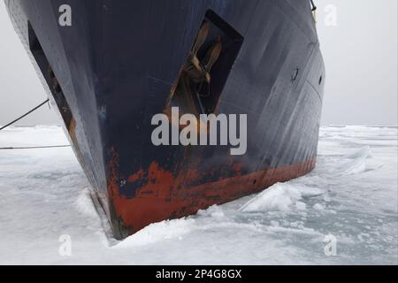 Le brise-glace Origo est amarré dans la banquise, océan Arctique, Svalbard Banque D'Images