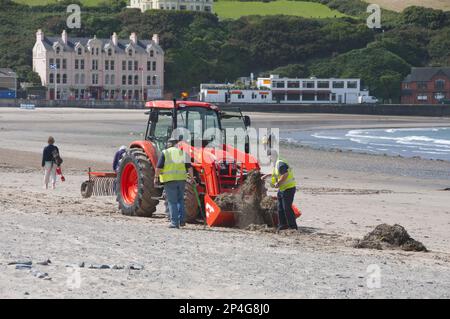 Travailleurs avec un tracteur sur la plage, nettoyant les algues et les déchets de la plage de sable, Port Erin, Ile de Man Banque D'Images