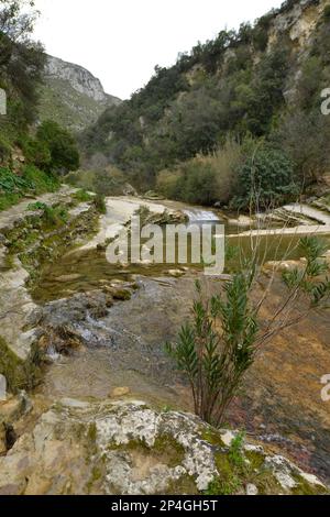 Étang, rivière, gorge, Cavagrande del Cassibile, Sicile, Italie Banque D'Images