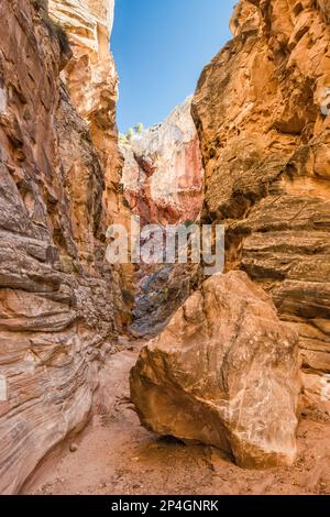 Cottonwood Narrows, à côté de Cottonwood Road, Grand Staircase Escalante National Monument, Utah, États-Unis Banque D'Images