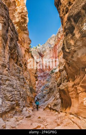 Cottonwood Narrows, à côté de Cottonwood Road, Grand Staircase Escalante National Monument, Utah, États-Unis Banque D'Images