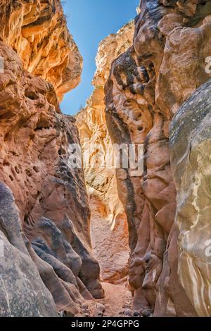 Cottonwood Narrows, à côté de Cottonwood Road, Grand Staircase Escalante National Monument, Utah, États-Unis Banque D'Images