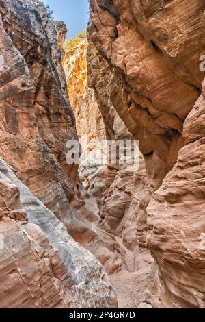 Cottonwood Narrows, à côté de Cottonwood Road, Grand Staircase Escalante National Monument, Utah, États-Unis Banque D'Images