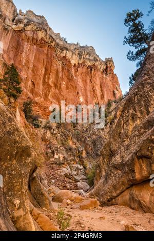 Cottonwood Narrows, à côté de Cottonwood Road, Grand Staircase Escalante National Monument, Utah, États-Unis Banque D'Images