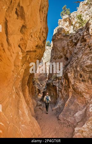 Cottonwood Narrows, à côté de Cottonwood Road, Grand Staircase Escalante National Monument, Utah, États-Unis Banque D'Images