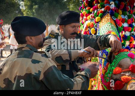 Inde, Rajasthan, Bikaner, Centre national de recherche Camel, Festival Camel, soldats de la Force de sécurité frontalière traitant l'oreille de chameau avec antiseptique Banque D'Images