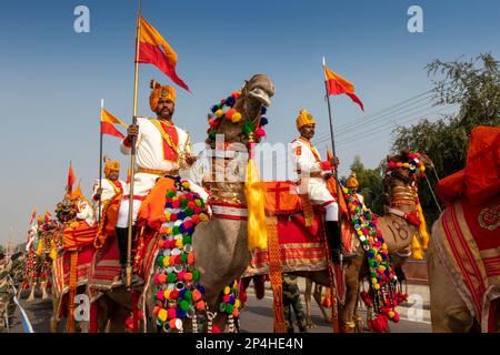 Inde, Rajasthan, Bikaner, Camel Festival Parade, soldats de la Force de sécurité frontalière montés à dos de chameau en uniforme Banque D'Images