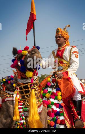 Inde, Rajasthan, Bikaner, Camel Festival Parade, soldat de la Force de sécurité frontalière monté à dos de chameau en uniforme Banque D'Images