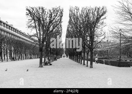 Photo en noir et blanc des personnes assises dans les jardins du Palais Royal dans le 1st arrondissement de Paris. Banque D'Images