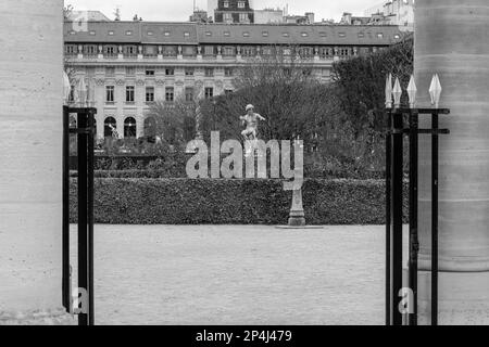 Photo en noir et blanc des jardins du Palais Royale dans le 1st arrondissement de Paris. Banque D'Images