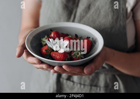 Une assiette en céramique grise avec des fraises et une fleur blanche entre les mains. Banque D'Images