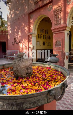 Inde, Rajasthan, Bikaner, Bhairon Vilas Heritage Hotel, jardin, tête de Bouddha dans bol pétale de fleur Banque D'Images