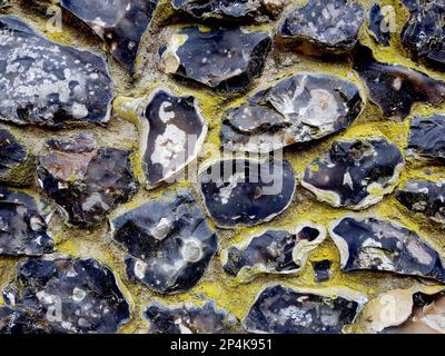 Détail d'un mur noir avec lichen jaune. Banque D'Images