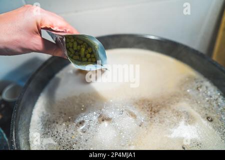 Saut pour l'amertume, ajoutant des pellets de houblon à une eau et un malt. Photo de haute qualité Banque D'Images