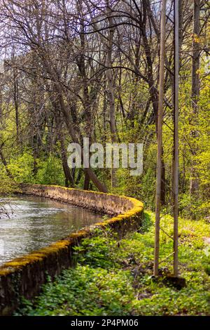 Paysage paisible de la nature au bord de la rivière au début de la saison de printemps Banque D'Images