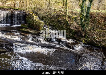 Birkacre Weir Fish Pass se trouve sur la rivière Yarrow, dans la vallée de Yarrow. Banque D'Images