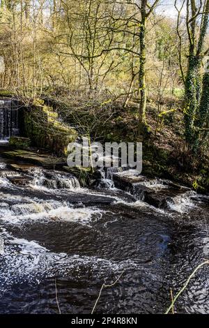 Birkacre Weir Fish Pass se trouve sur la rivière Yarrow, dans la vallée de Yarrow. Banque D'Images