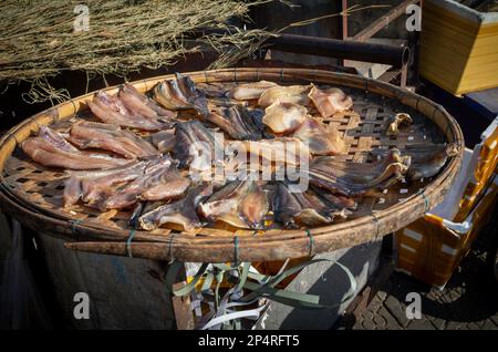 Tranches de poisson séchant au soleil sur un panier en osier à l'extérieur du marché central de Phnom Penh, au Cambodge. Banque D'Images