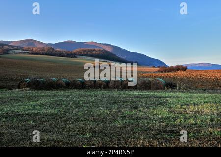 Paysage rural slovaque avec des balles de paille et de champ. Lumière secondaire chaude au coucher du soleil. Magnifique ciel bleu clair. Collines en arrière-plan.Chocholna, Slovaquie Banque D'Images