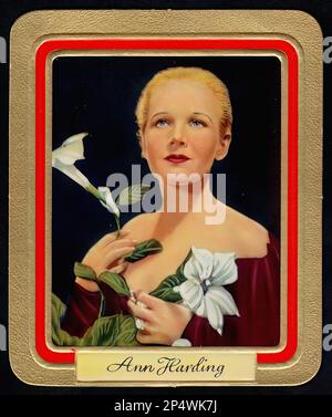 Portrait d'Ann Harding - carte à cigarettes allemande ancienne Banque D'Images