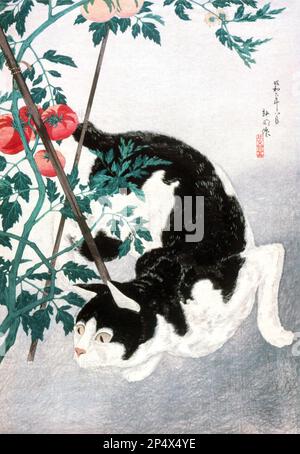 Chat avec plante de tomate (1931) en haute résolution par Hiroaki Takahashi Banque D'Images