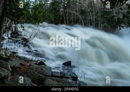 Les chutes de babeurre sont au stade d'inondation au printemps sur la rivière Raquette, dans les montagnes Adirondack, dans l'État de New York Banque D'Images