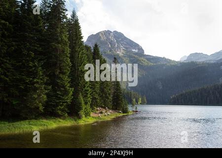 Paysage de montagne, parc national de Durmitor, Monténégro. Belle vue sur les bancs du lac près du lac dans une belle forêt Banque D'Images