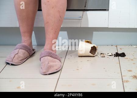 Femme debout à côté d'une tasse de thé brisée posée sur le sol de la cuisine, tasse de café écrasée et Marc de café sur tout le carrelage. Banque D'Images
