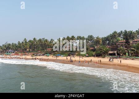 Candolim, Goa, Inde - janvier 2023 : vue sur la plage bondée bordée de cocotiers à Sinquerim. Banque D'Images
