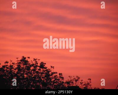 Ciel au coucher du soleil à Maramures, Roumanie Banque D'Images