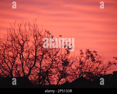 Ciel au coucher du soleil à Maramures, Roumanie Banque D'Images