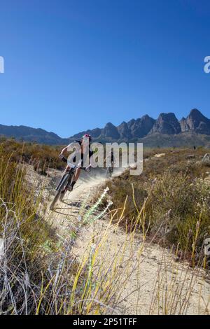VTT à l'ABSA Cape Epic Banque D'Images