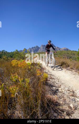 VTT à l'ABSA Cape Epic Banque D'Images