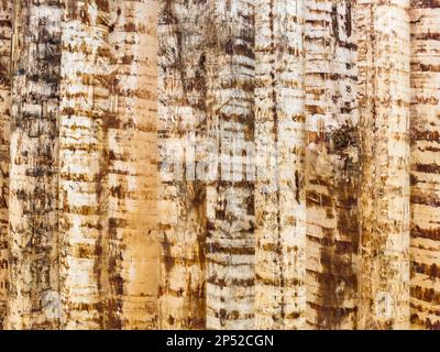 Chalet en bois ou grange non peint, mur écorché, arrière-plan texturé avec espace de copie. Banque D'Images