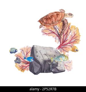 Tortue avec poissons exotiques sur fond de roche avec coraux isolés sur fond blanc. Illustration aquarelle d'une tortue de mer et sous l'eau Banque D'Images