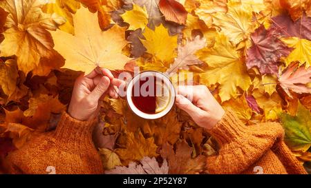 Concept d'automne - les mains de la femme caucasienne tiennent une tasse de thé noir avec citron sur un tapis de feuilles d'automne tombées, vue du dessus Banque D'Images