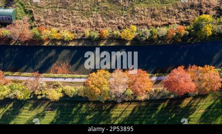 Couleurs d'automne autour du canal Dessel Schoten photo aérienne à Rijkevorsel, kempen, Belgique, montrant la voie navigable dans le paysage agricole vert naturel. Photo de haute qualité. Photo de haute qualité Banque D'Images