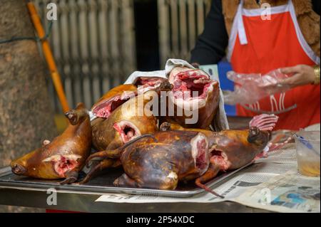 Pile de carcasses de chiens rôties placée sur la table près d'un vendeur méconnaissable dans le bazar local au Vietnam Banque D'Images